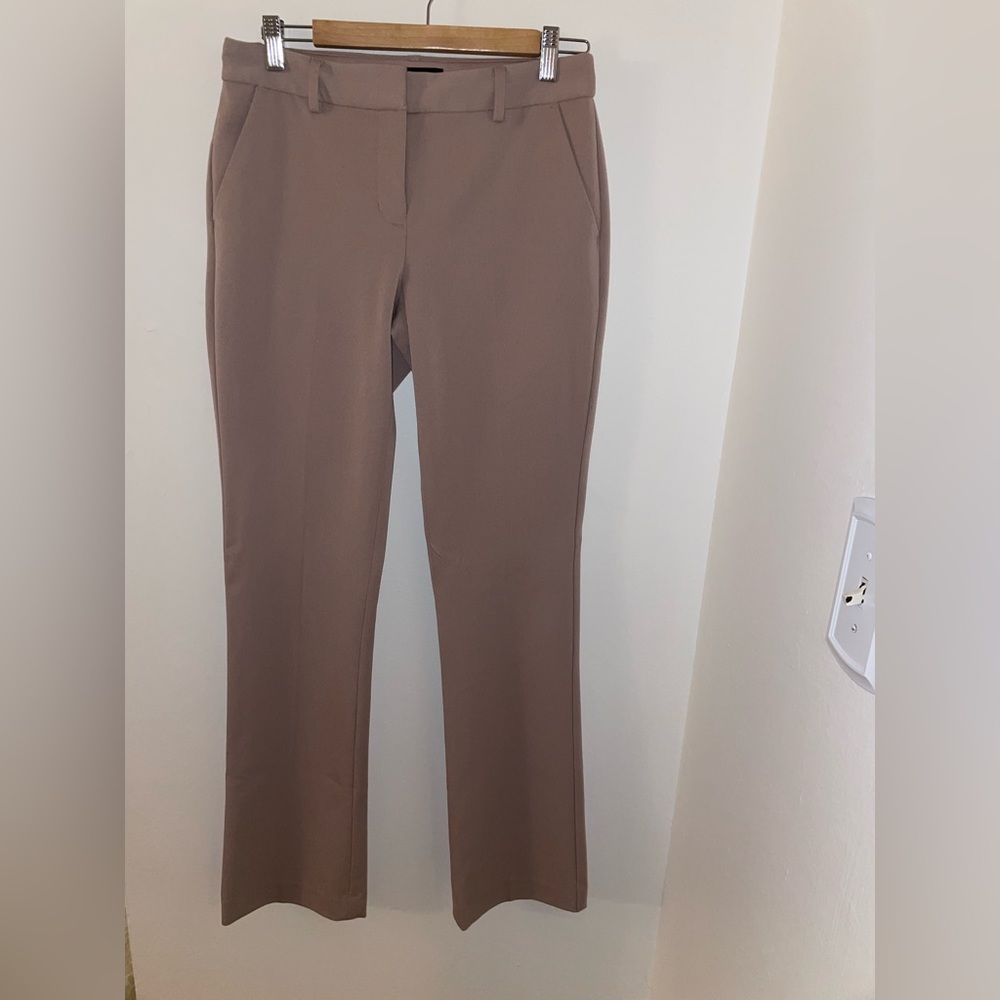 Express Dress Pants